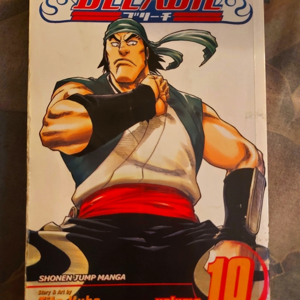 Bleach vol. 10 manga